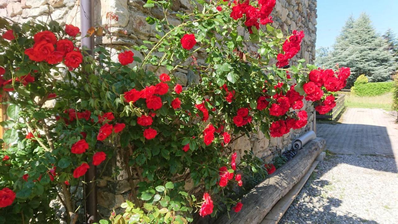Villa Casa Delle Rose Teglio Exterior foto